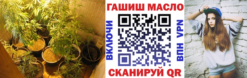 Дистиллят ТГК гашишное масло  Купить закладки  Сланцы 