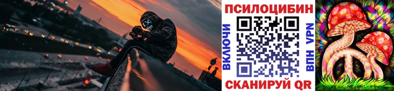 Купить  Сланцы  Галлюциногенные грибы Psilocybe 